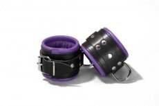 Ankle restraints purple