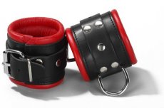Ankle restraints red
